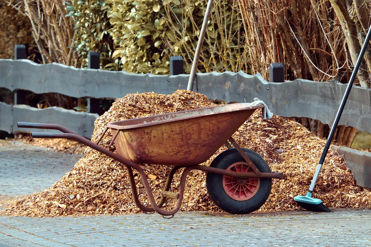 How to Clean and Sharpen Garden Tools Before Spring
