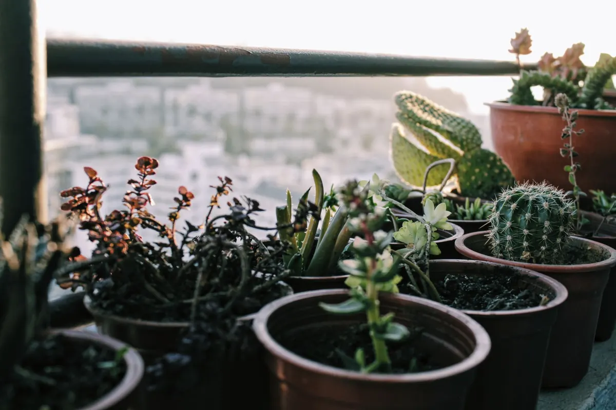 Small Garden Landscaping Ideas for UK Terraced Houses